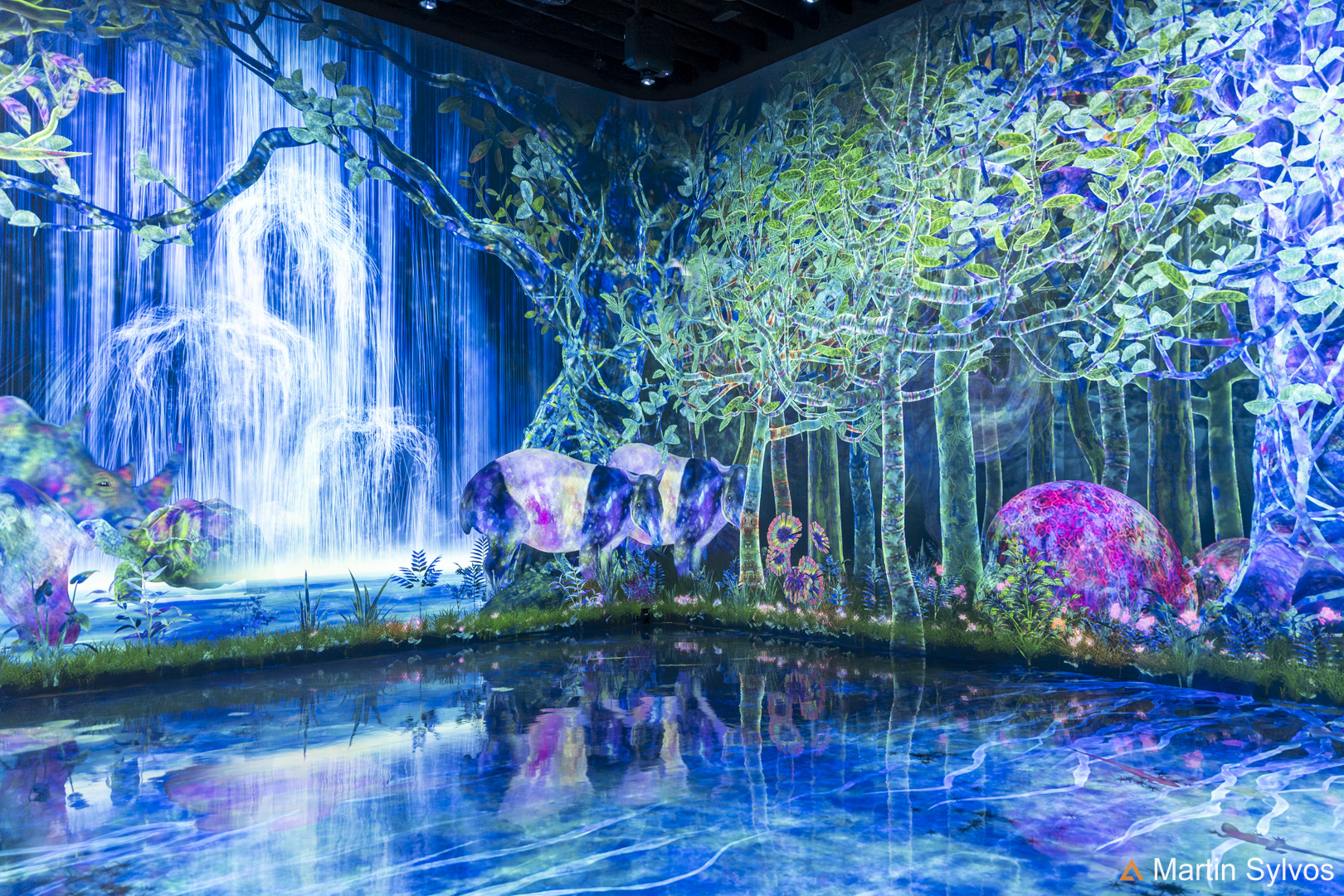 2025 Japon martin sylvos 52